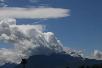 DSC_6314 (Large).JPG